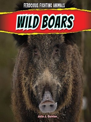 cover image of Wild Boars